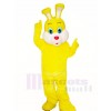 Gelb Ostern Hase Maskottchen Kostüme Tier