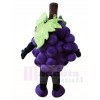 Lila Traube Maskottchen Kostüme Obst Essen Pflanze