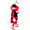 Rote und schwarze Hornisse Biene Maskottchen Kostüme Insekt