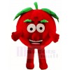 glücklich Tomate Maskottchen Kostüme Pflanze
