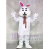 Weißes Kaninchen Ostern Hase Maskottchen Kostüme Tier