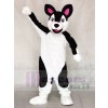 Schwarz und Weiß Heiser Hund Maskottchen Kostüme Tier 