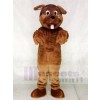 Schön Braun Hund Maskottchen Kostüme Tier