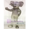 Grauer Elefant Grey Elephant Maskottchen Kostüme