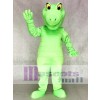 Grün Albert Alligator Maskottchen Kostüme Tier