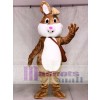 Niedlich Ostern Bunny Rabbit Maskottchen Kostüme Tier