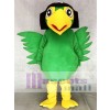 Realistische grüne Piraten Papageien Vogel Maskottchen Kostüme