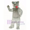 Niedliches Lobo Hunde Maskottchen Kostüm