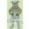 Niedliches Bulldog Maskottchen Kostüm Tier