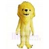 Gelb Löwe König Maskottchen Kostüme Tier