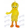 Tweety Looney Tunes Gelbes Vogel Maskottchen Kostüm