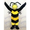 Neues schwarzes und gelbes erwachsenes Bienen/ Hornissen Maskottchen Kostüm
