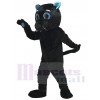 Sir Schnurren des Carolina Panthers Maskottchen Kostüm Black Panther