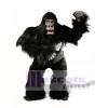 Niedlich Simian Gorilla Maskottchen Kostüm