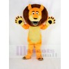 Komisch Orange Löwe Erwachsene Maskottchen Kostüm Schule