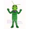 Grün Wurm Maskottchen Kostüm Tier