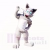 Freundlich Grau Katze Maskottchen Kostüme Karikatur