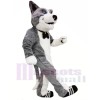 Süß Grauer Hund Maskottchen Kostüme