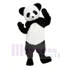 Süß Panda Maskottchen Kostüme