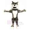 Qualität Grau Bulldogge Maskottchen Kostüme Karikatur