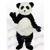 Lächelndes Panda langes Tier erwachsenes Maskottchen Kostüm
