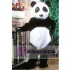 Panda Bär Maskottchen Kostüm