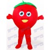 Lächelndes Tomate Frucht erwachsenes Maskottchen Kostüm