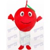 Roter Apfel mit Blatt Frucht Erwachsenen Maskottchen kostüm