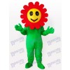 Kichernde Sonne Blumen Anlage erwachsenes Maskottchen lustiges Kostüm