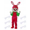 Ostern Etikette Kaninchen Maskottchen Erwachsene Kostüm Tier