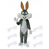 Ostern Neue Bugs Bunny Maskottchen Adult Kostüm Tier