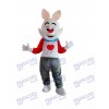 Ostern Dada Kaninchen Maskottchen Erwachsene Kostüm Tier