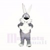 Lächelnd Grau und Weiß Hase Maskottchen Kostüme Karikatur