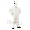 Weiß Pferd Maskottchen Kostüme Erwachsene