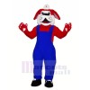 Rot Kreuz Hund Maskottchen Kostüme Cartoon
