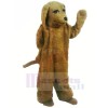 Braun Pudel Hund Maskottchen Kostüme Erwachsene