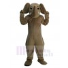 Elefant maskottchen kostüm
