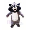 Süß Grau Waschbär Maskottchen Kostüme Tier