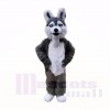 Lächelnd Grau Plüsch Heiser Hund Maskottchen Kostüme Schule