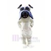 Leicht Weiß Bulldogge Maskottchen Kostüme