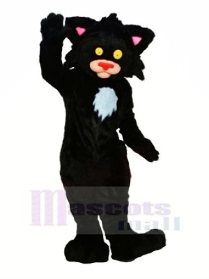 Schwarz Kitty Katze Maskottchen Kostüme Tier