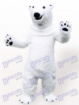 Eisbär Tier Maskottchen Kostüm