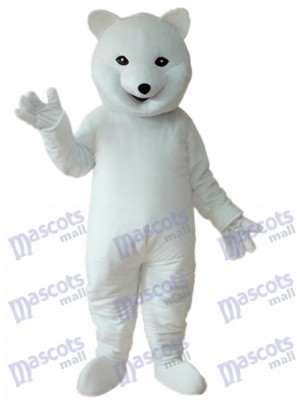 Eisbär Maskottchen Erwachsene Kostüm Tier