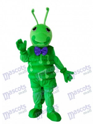 Grünes Wurm Maskottchen erwachsenes Kostüm Insekt