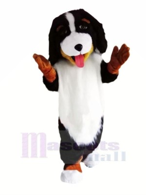 Süß Berner Berg Hund Maskottchen Kostüme Tier