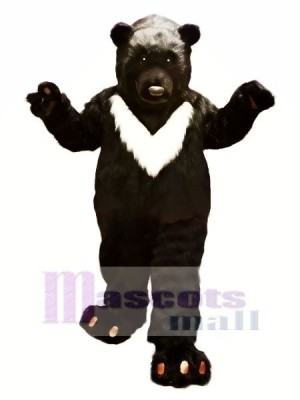Groß Schwarz Bär Maskottchen Kostüme Tier