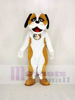 Braun Und Weiß Sankt Bernhard Hund Maskottchen Kostüm Karikatur