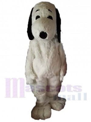 Netter weißer Hund Maskottchen-Kostüm Für Erwachsene Maskottchenköpfe