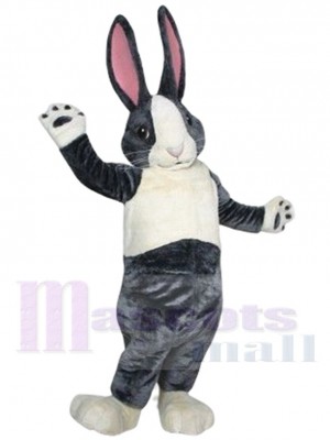 Grauer und weißer Hase Kaninchen Maskottchen Kostüm Tier