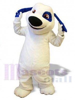 Blauohren-Hund Maskottchen-Kostüm Für Erwachsene Maskottchenköpfe